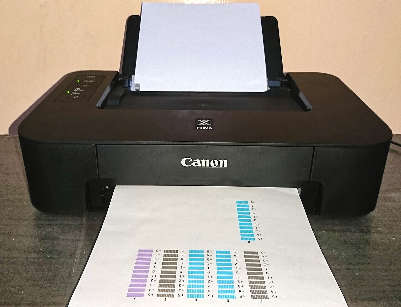 Canon PIXMA TS207 printer